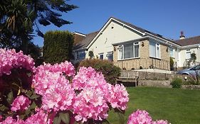 Churston Way Lodge Guest House